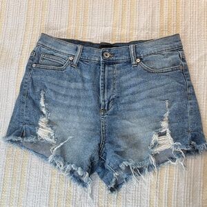 Kendall & Kylie Distressed Chic Blue Jean Shorts